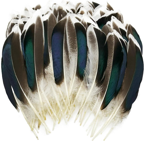 200pcs duck feathers natural - 200pcs,