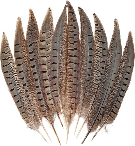 5pcs pheasant feather 10inch - pheasant, 8-10inch