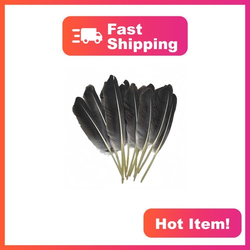 Gybzzr 12pc pheasant - 12pc,