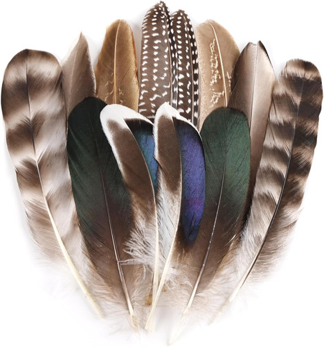 Natural pheasant feathers - natural,