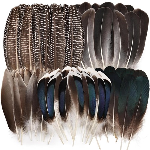 Natural pheasant feathers - natural,