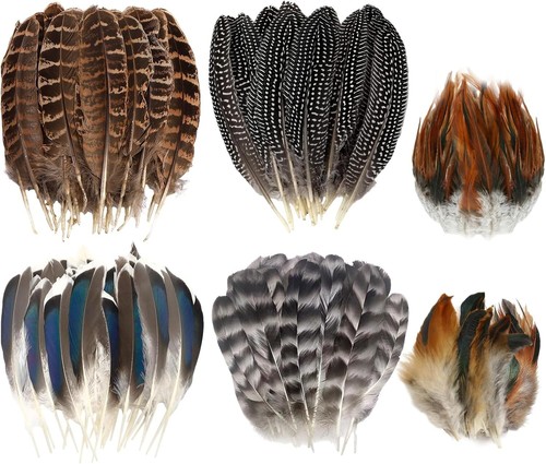 60pcs natural turkey - natural,