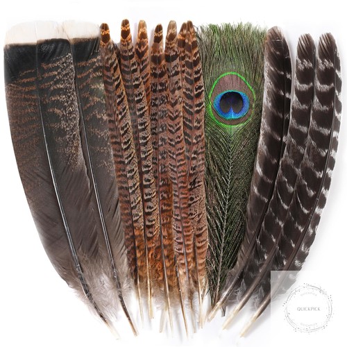 Large natural pheasant - natural,