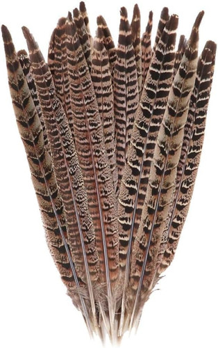 Pcs long pheasant - 10,
